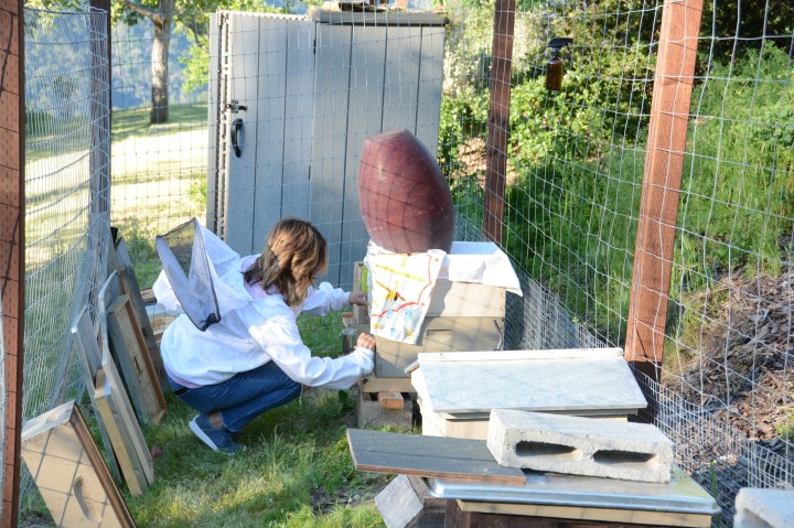 AE463272-0080-4352-B7FE-9EFAB937AEB5